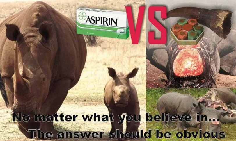 Rhino horn, is not medicine...