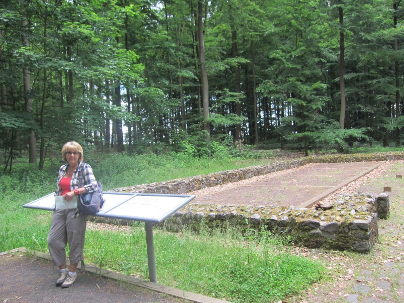 Limes - site of Roman fort in the forest